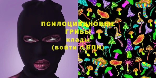 спайс Пионерский