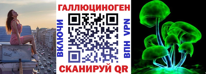 Галлюциногенные грибы Psilocybine cubensis  Сураж 